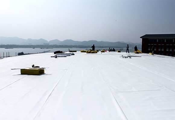 Membrana de impermeabilização de PVC vs TPO: o que é melhor para projetos de telhados