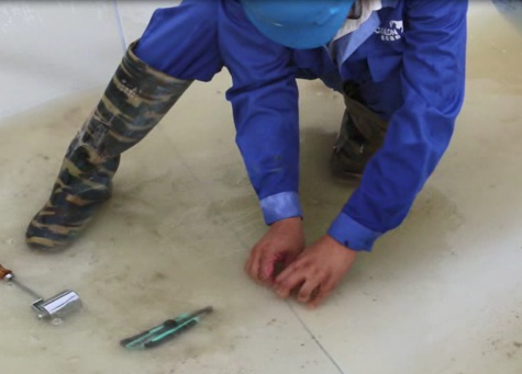 membrana impermeabilizante pr&eacute;-aplicada forfens 2