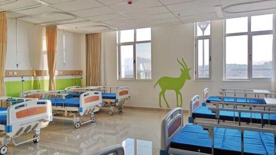 Centro de Desenvolvimento para Crian&ccedil;as com Defici&ecirc;ncia na Mong&oacute;lia